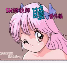 Image n° 1 - screenshots  : SM Choukyoushi Hitomi Vol 2.5